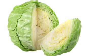Cabbage