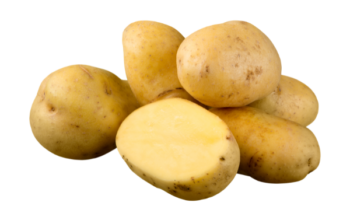 Patatos