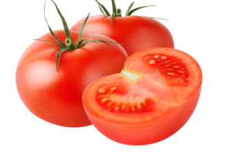 Tamato